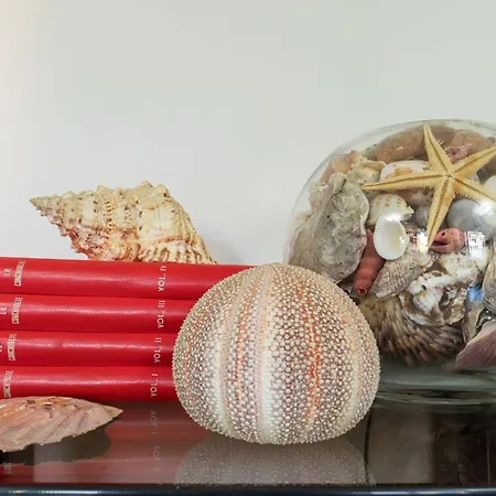 Apartment Shell - Spazioso Attico Con Wifi Gratuito E Posto Auto *