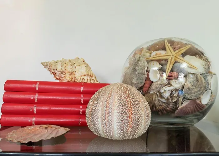 アパート Shell - Spazioso Attico Con Wifi Gratuito E Posto Auto *